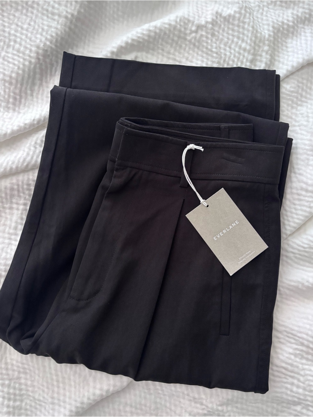 Everlane High Rise Loose Pleated Wide Leg Pants
